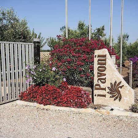 Apartament Agrimare I Pavoni Montalto di Castro Zewnętrze zdjęcie