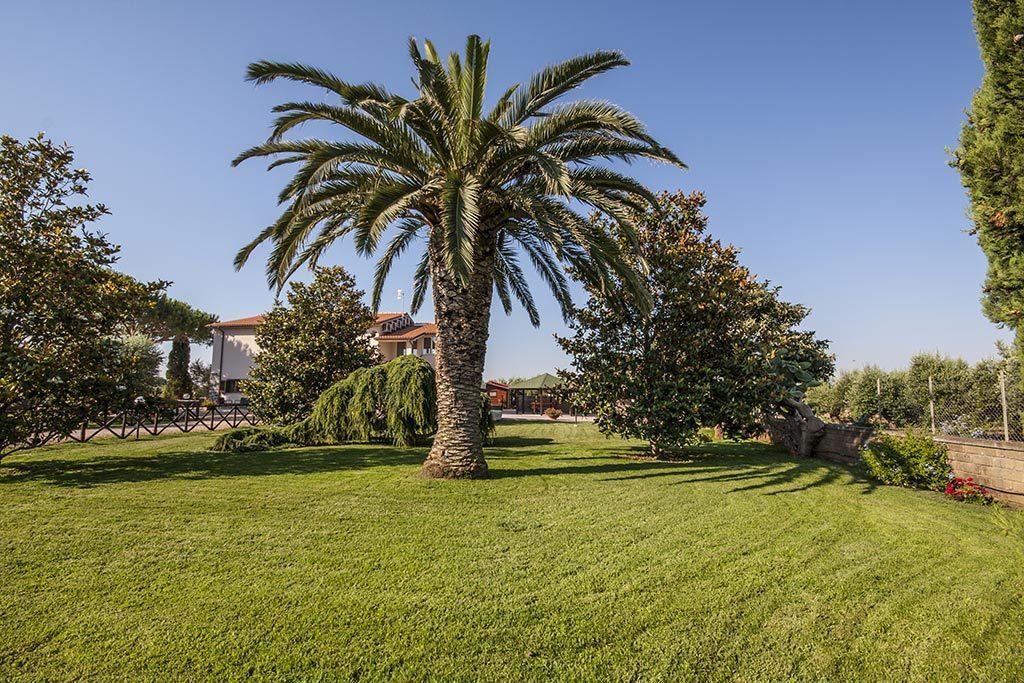 Apartament Agrimare I Pavoni Montalto di Castro Zewnętrze zdjęcie