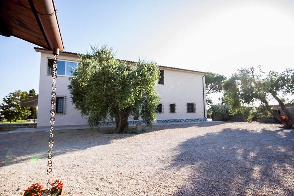 Apartament Agrimare I Pavoni Montalto di Castro Zewnętrze zdjęcie