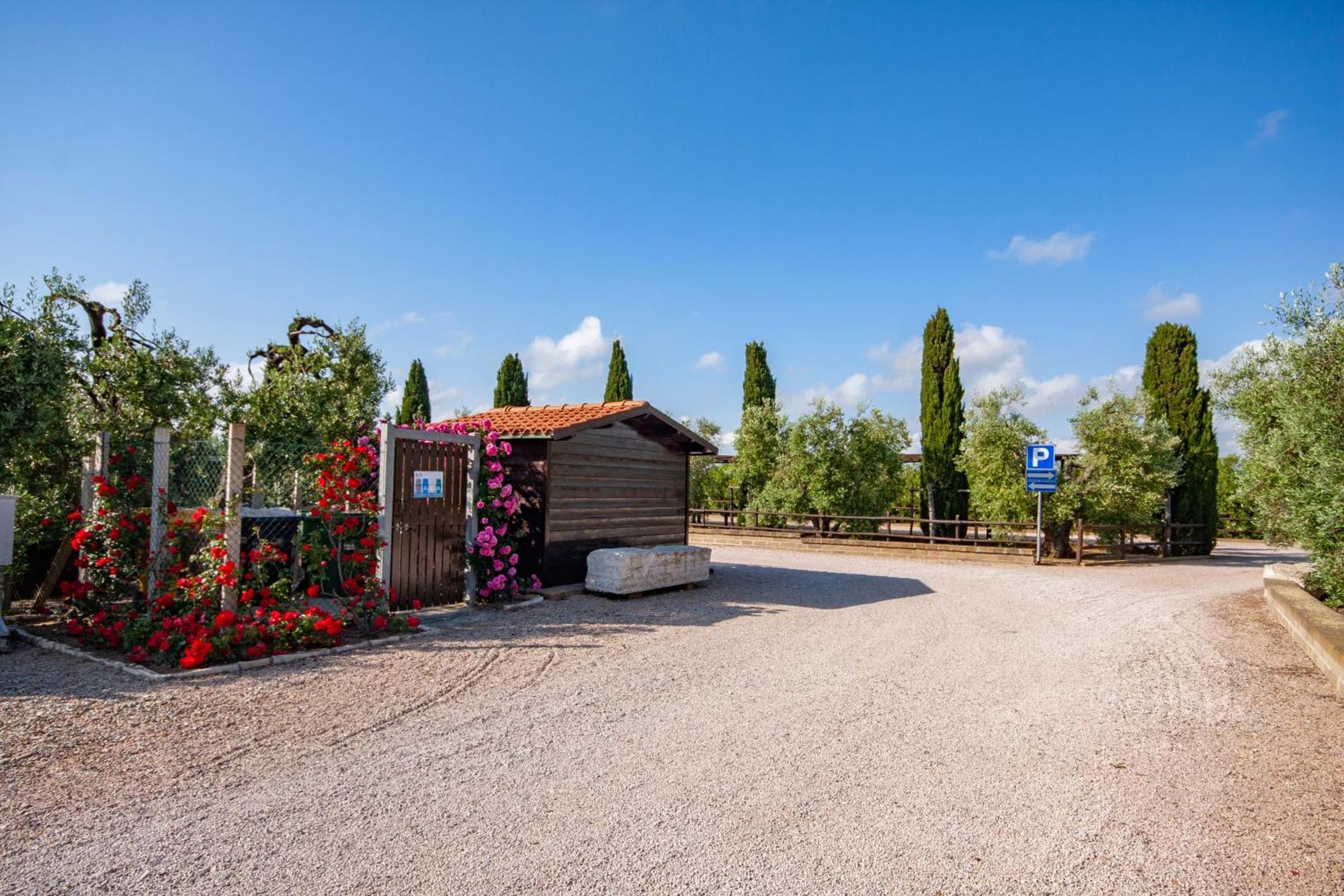 Apartament Agrimare I Pavoni Montalto di Castro Zewnętrze zdjęcie